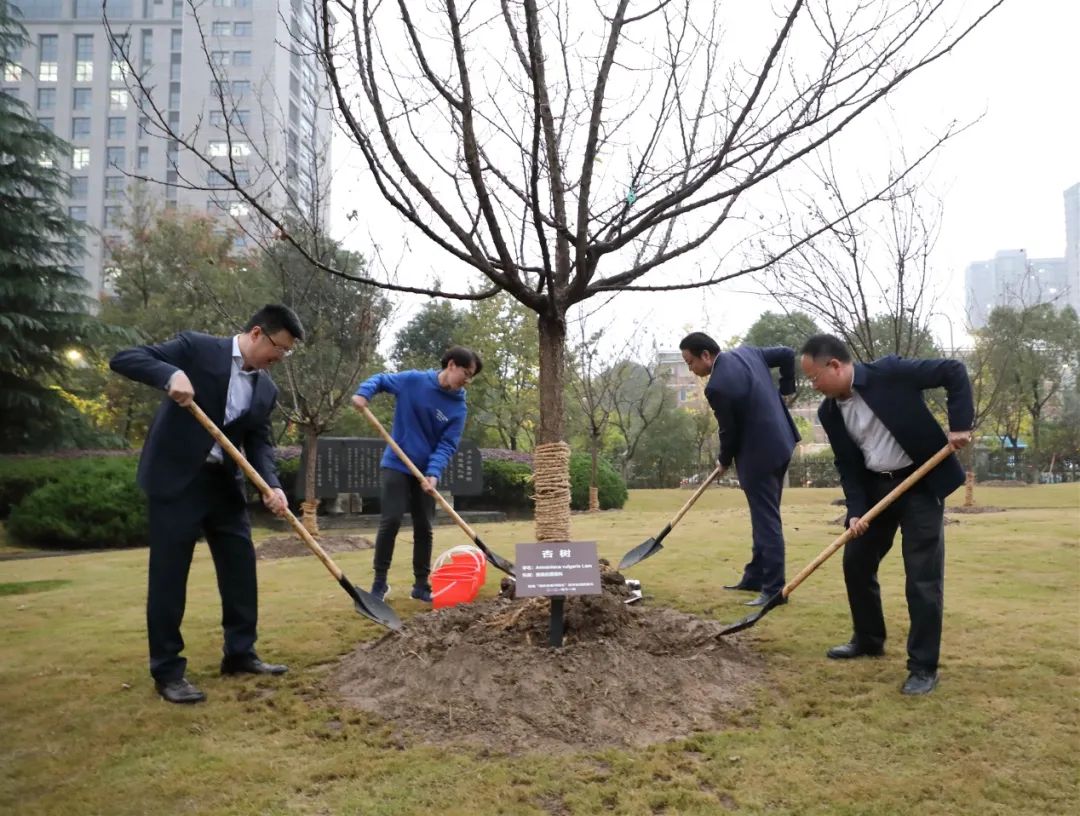 1636505673310471SnyI.jpg 222.jpg